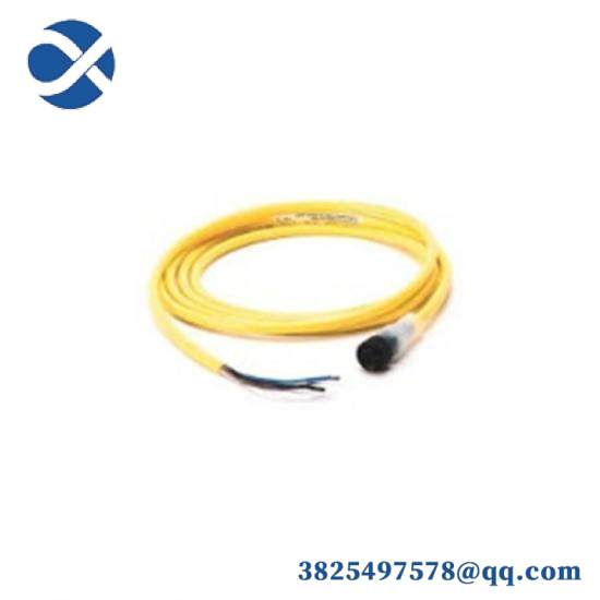 889N-U3AF-12F Mini Straight Cord