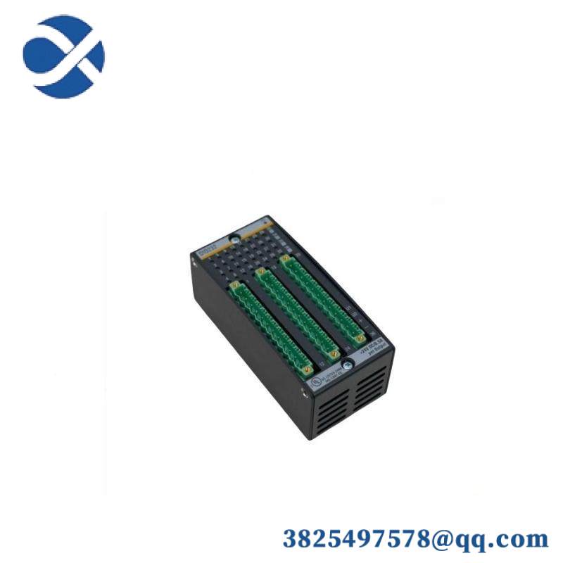 Bachmann DI0232 Digital Input/Output Module