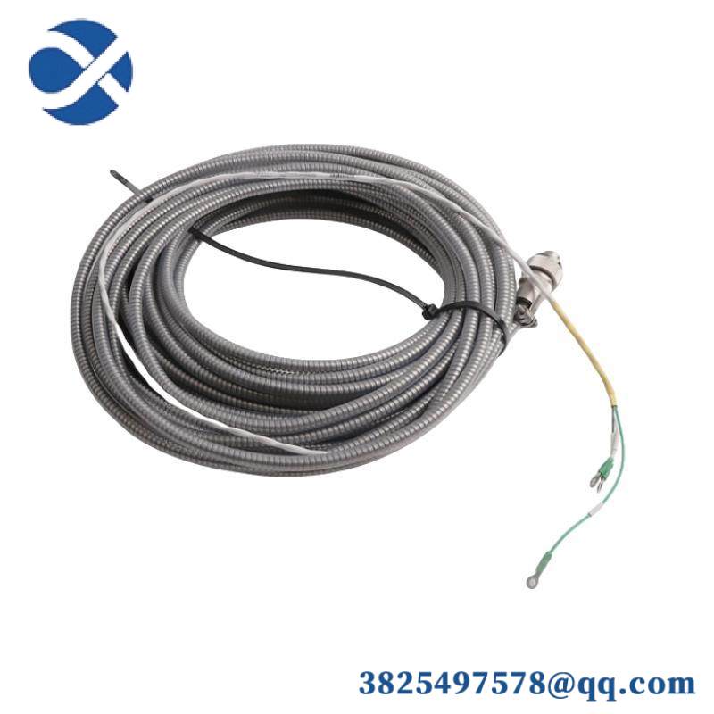 16137-122  Moore APACS I/O Cable Assembly