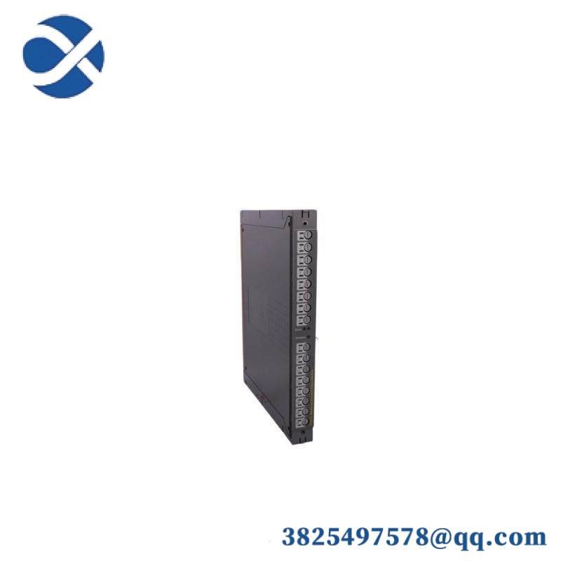 ICS TRIPLEX T8451 Module