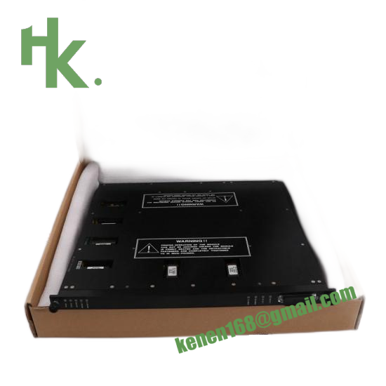 TRICONEX 2551 AI Module - Brian.H