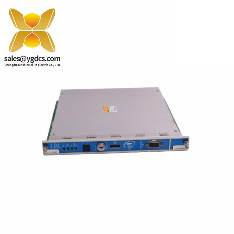 Bently Nevada 330101-00-63-10-02-00