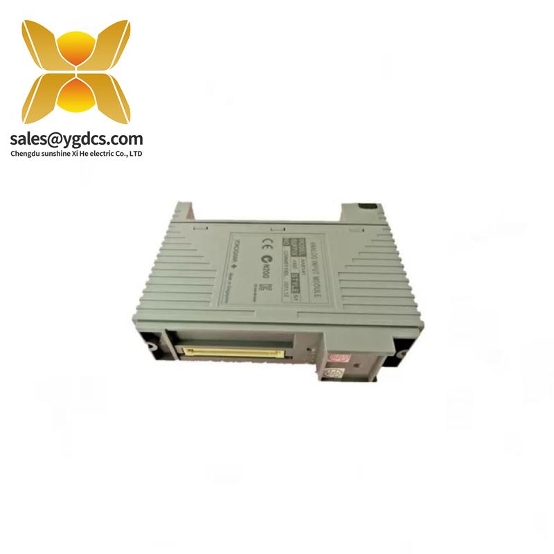 YOKOGAWA AAI141-S00 S2