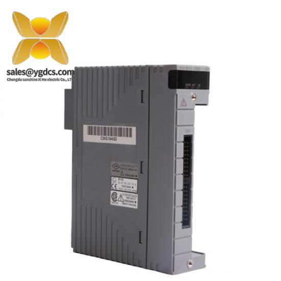YOKOGAWA Yokogawa AAI543 Analog Output Module