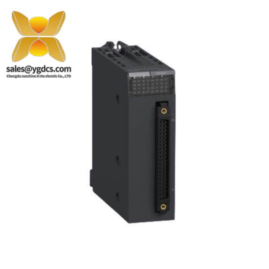 Schneider Discrete Input Module BMXDD032O2K  Schneider Electric