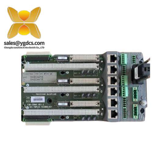 ICS TRIPLEX T8830  ICS Triplex  Trusted 40-Channel Analog Input FTA