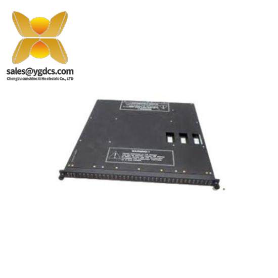 TRICONEX Triconex 3604A short delivery time