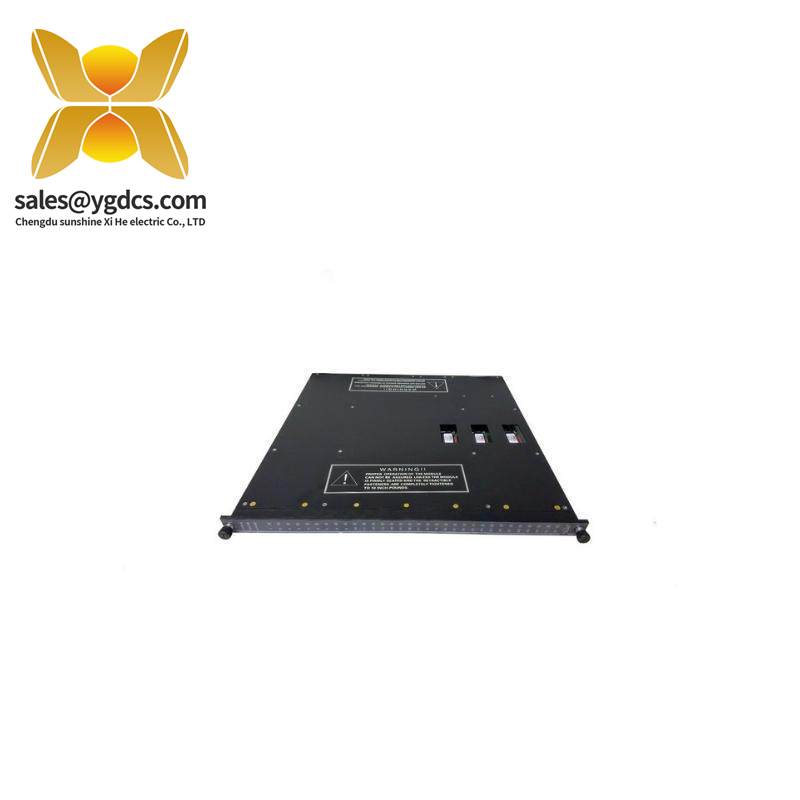 Triconex 3636A