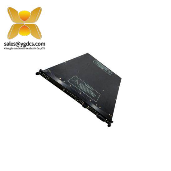 TRICONEX 9563-810