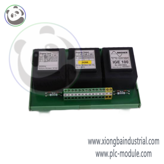 ACUITY IMAGING INC 070-200000
