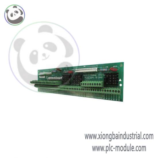 GE DS200DCFBG1BLC