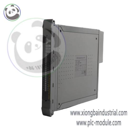 ICS TRIPLEX TC-303-01-2M0