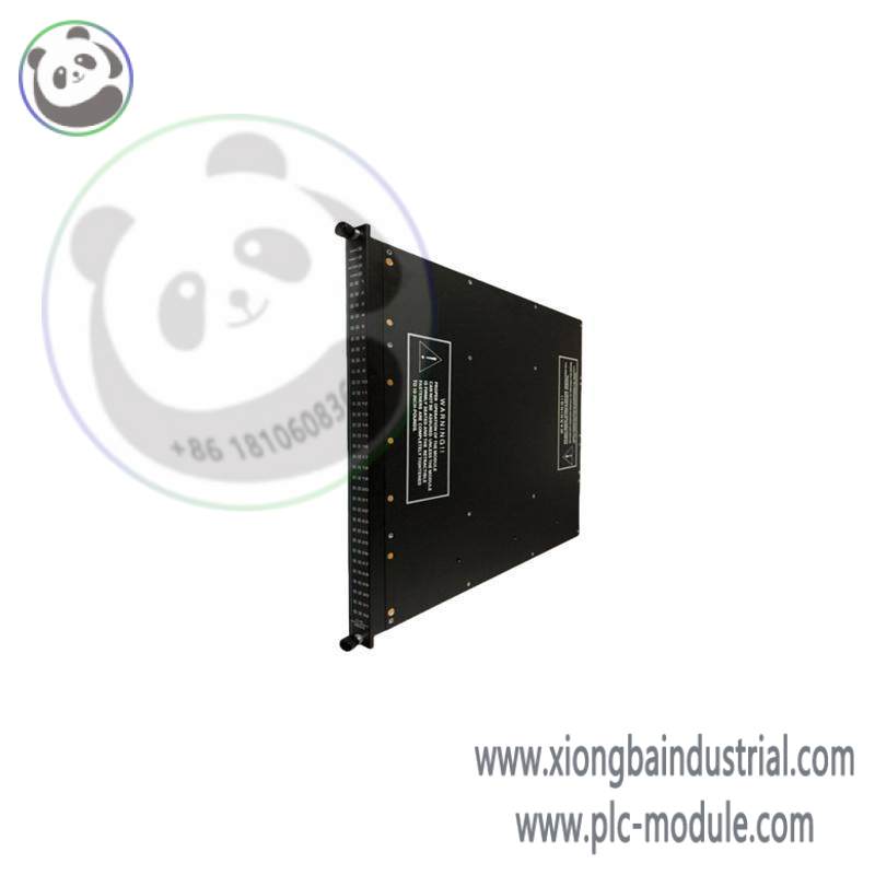 TRICONEX 9561-810