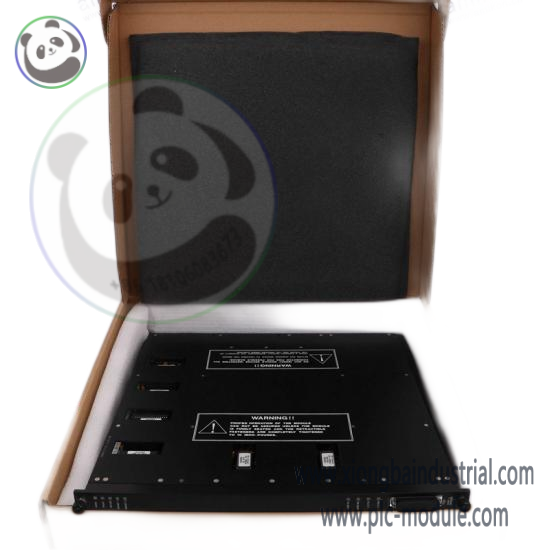 TRICONEX 9662-610