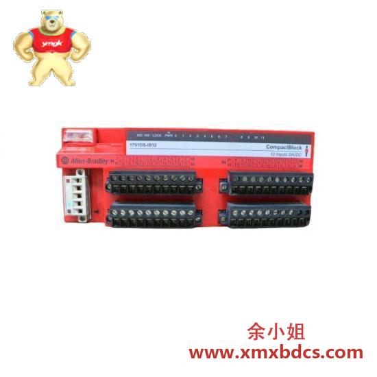 PLC 1791-DSIB12 Input Module