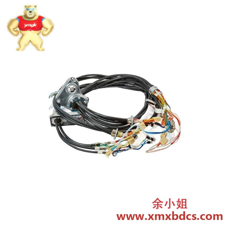 ABB ABB 3HAC069651-001 Cable harness