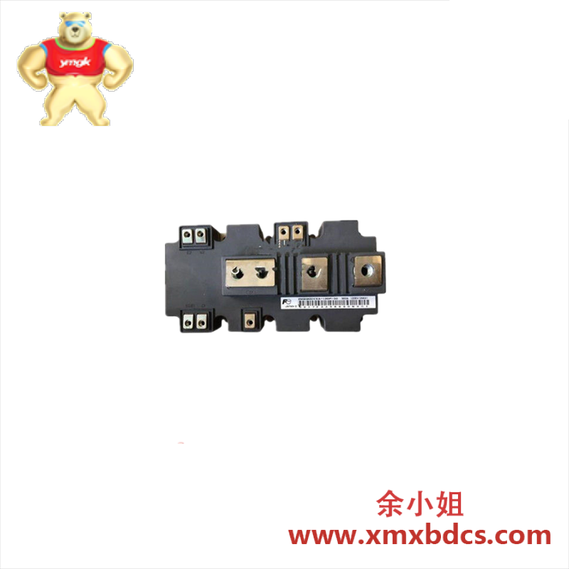 ABB BINT-12C