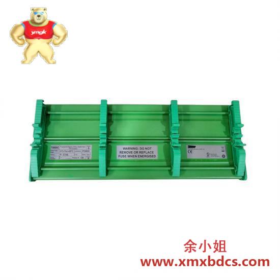 Others Automation T8800C Digital Input FTA