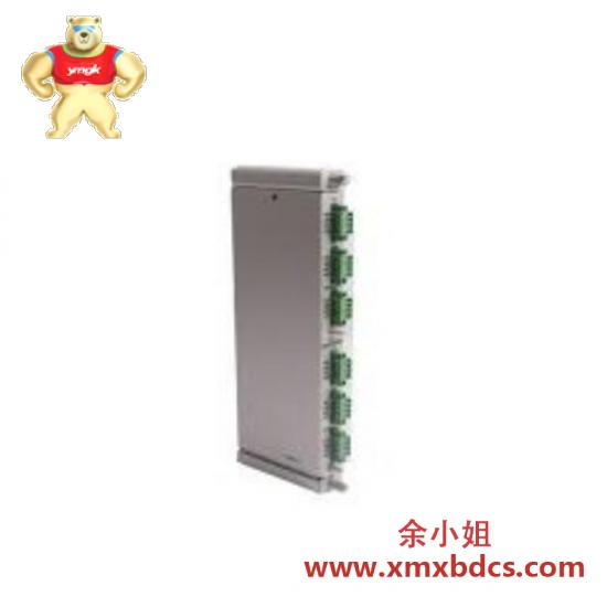 BENTLY Bently Nevada 125065-30