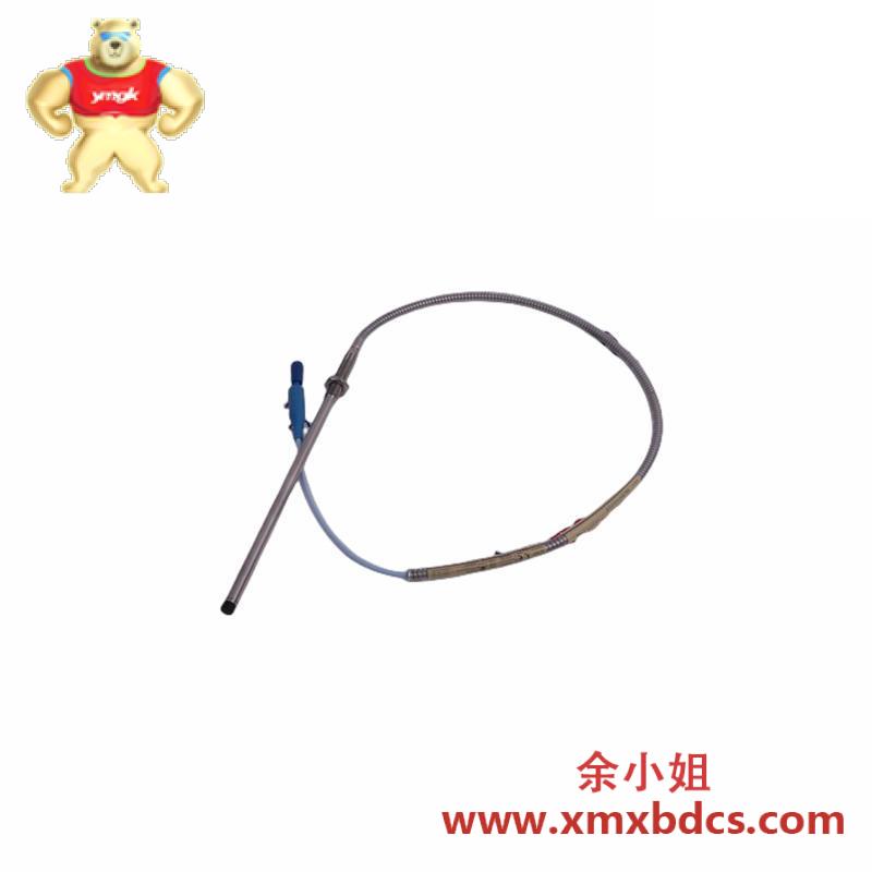 Bently Nevada 330104-19-25-10-11-05