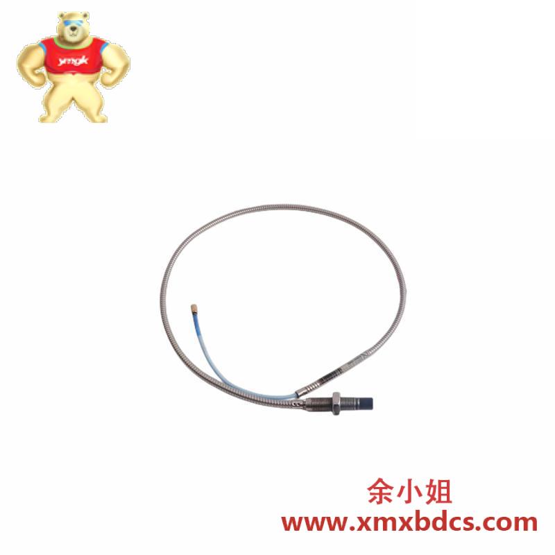 Bently Nevada RS901104-03-050-10-01 R200602-400808