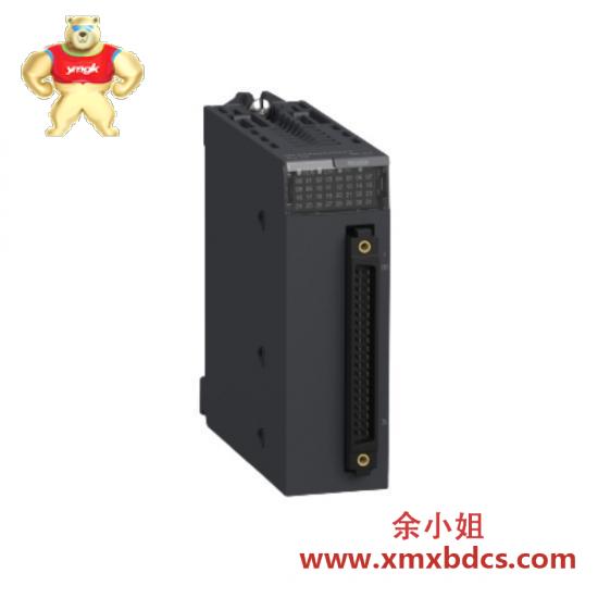Schneider Discrete Input Module BMXDD032O2K  Schneider Electric
