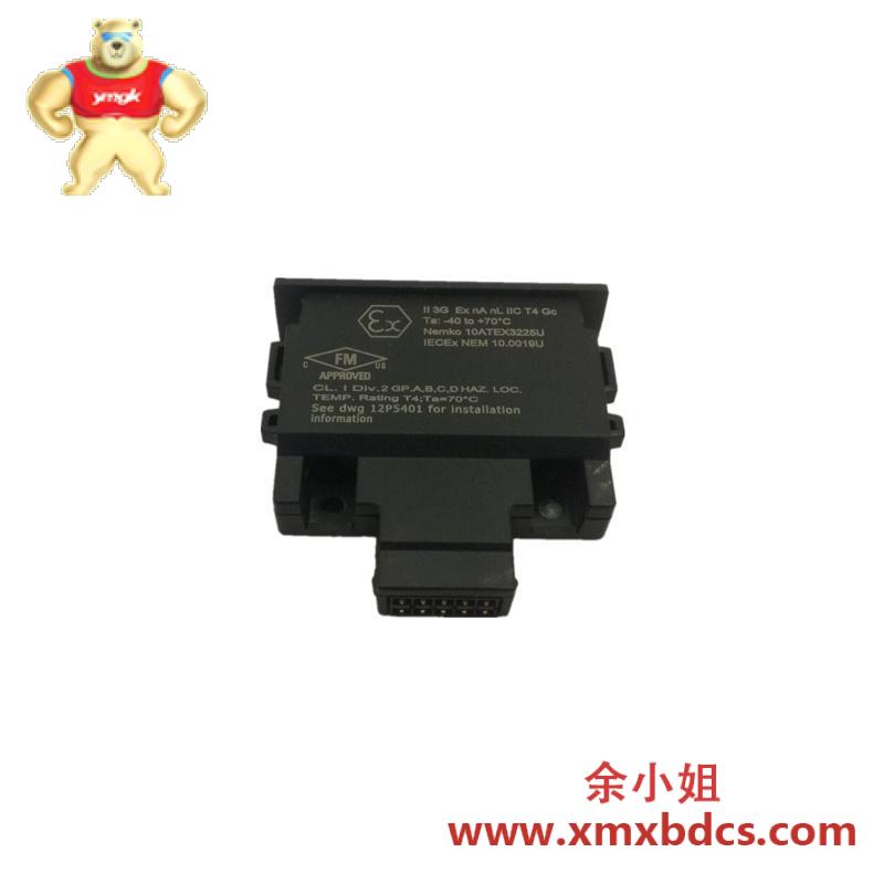 EMERSON EMERSON 12P4983X302  Charm Address Plug
