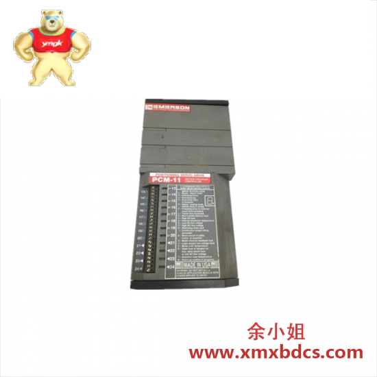 EMERSON EMERSON PCM-11 Motion Program Controller