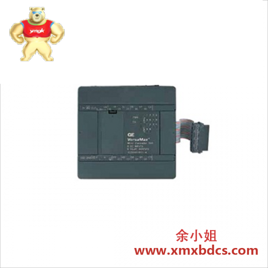 GE GE FANUC IC200UEX212 PLC Expansion Unit