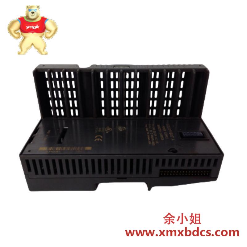 GE IC200ALG264H