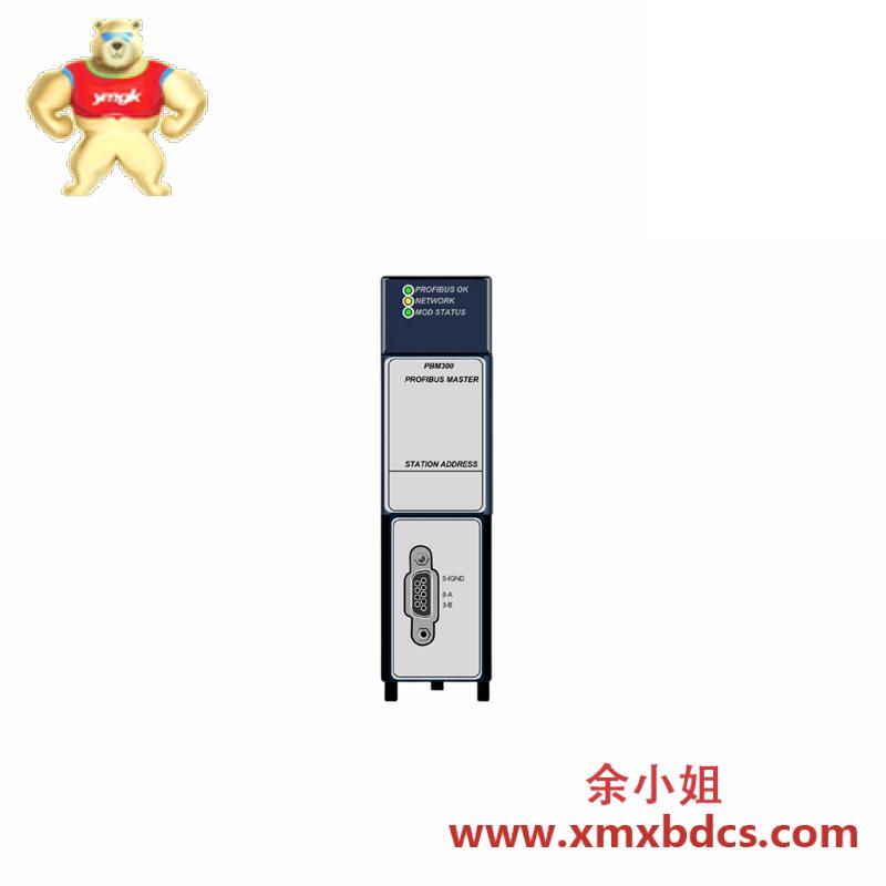 GE IC695PBM300