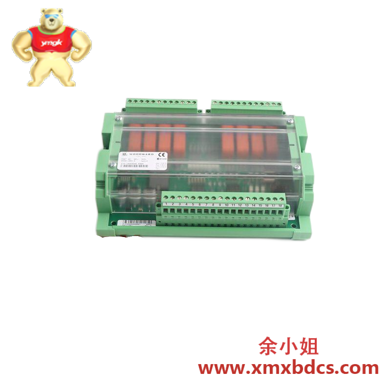 HollySys GM010-ISW-24L-C01