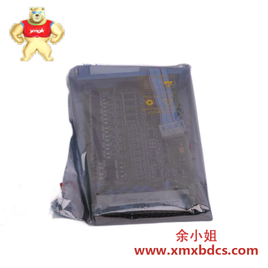 Honeywell HONEYWELL 51304831-100