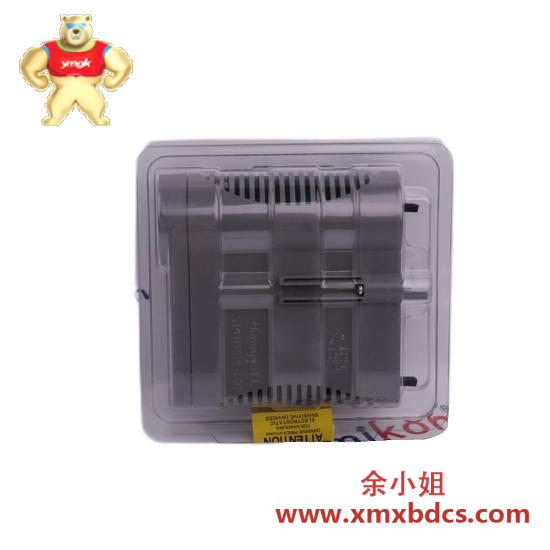 Honeywell HONEYWELL 51304883-100