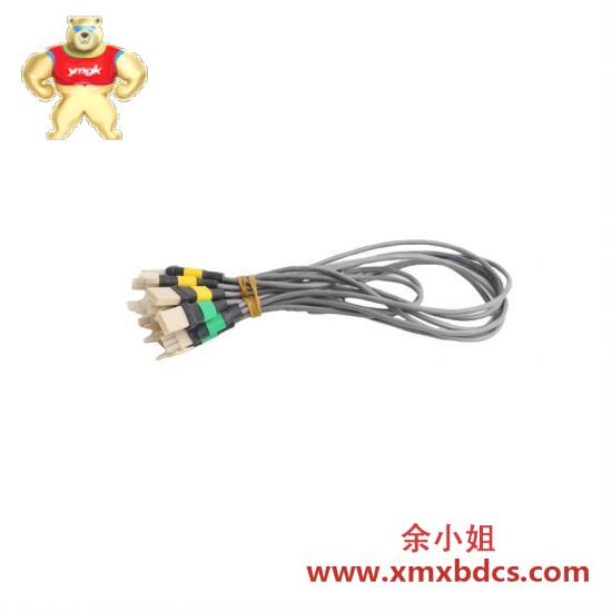 Honeywell HONEYWELL 51305489-500 Cable AUTOMATION DCS MODULE