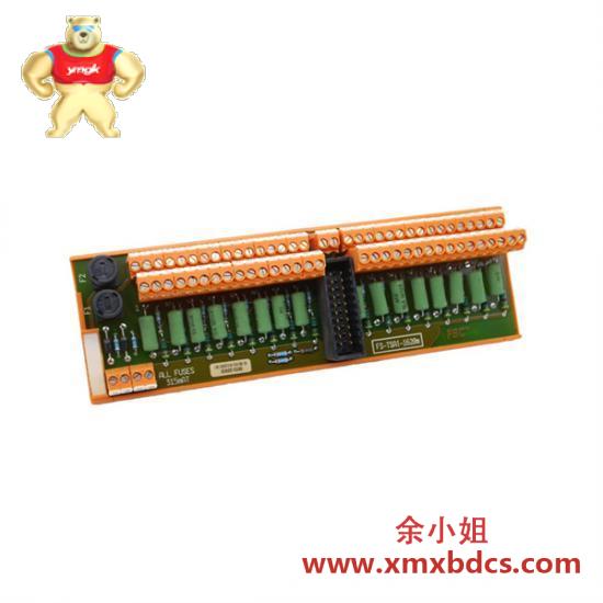 Honeywell HONEYWELL FC-TSAI-1620 Analog Input Module