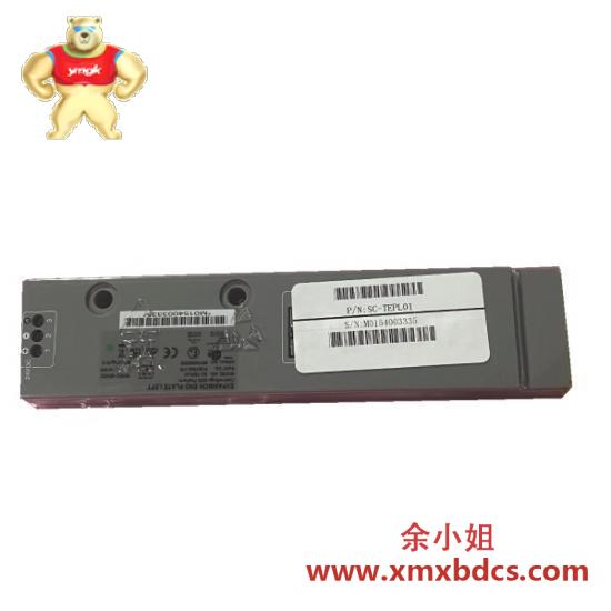 Honeywell HONEYWELL 51304379-100