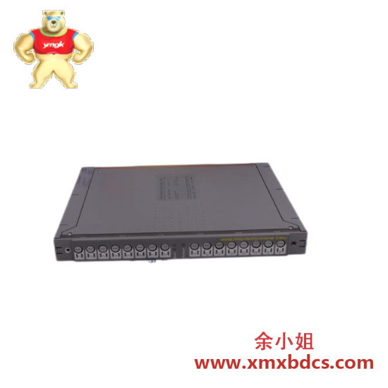 ICS TRIPLEX 9852*1