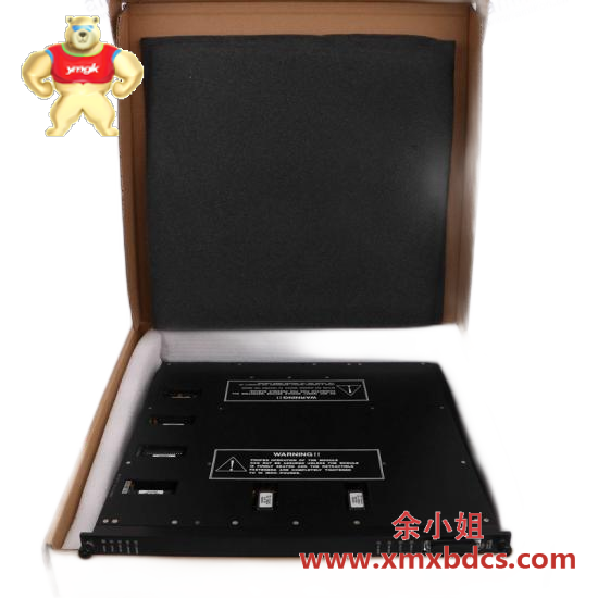 TRICONEX Invensys Triconex 9563-820  PLC Module