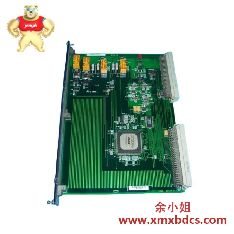 GE IS200BICLH1 6BA04