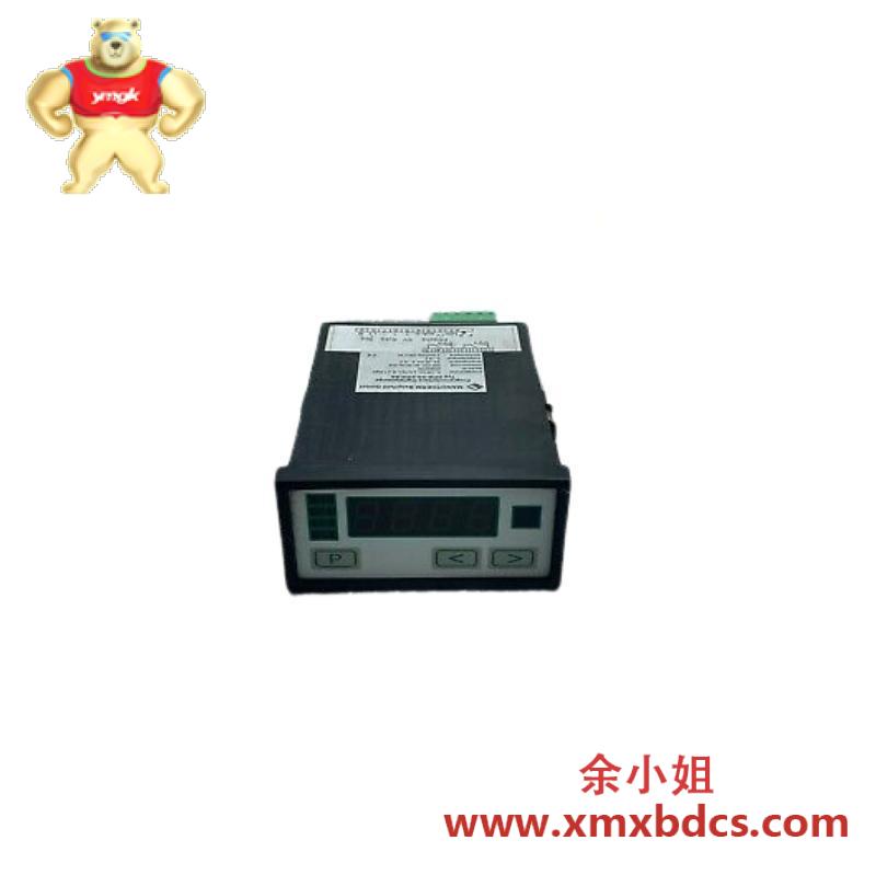 NEGELE PROZESSORANZEIGE DPM-GS-2GW-S