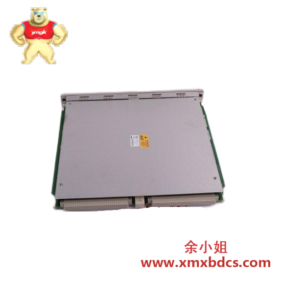 Others NELES AUTOMATION A413143 New