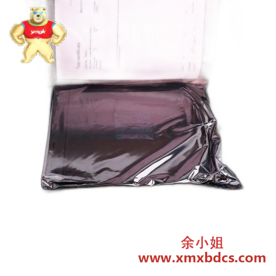 Others OPTO22 SNAP B3000 BRAIN