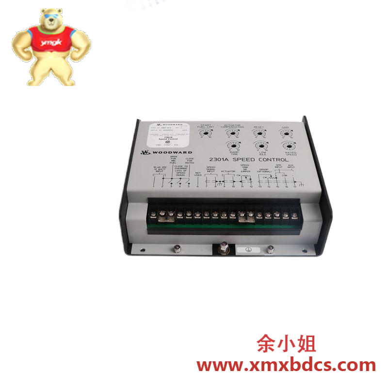 SAIA PCD2.M110