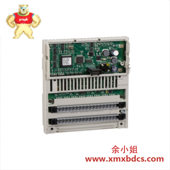 Schneider SCHNEIDER 170AAI03000 distributed analog input