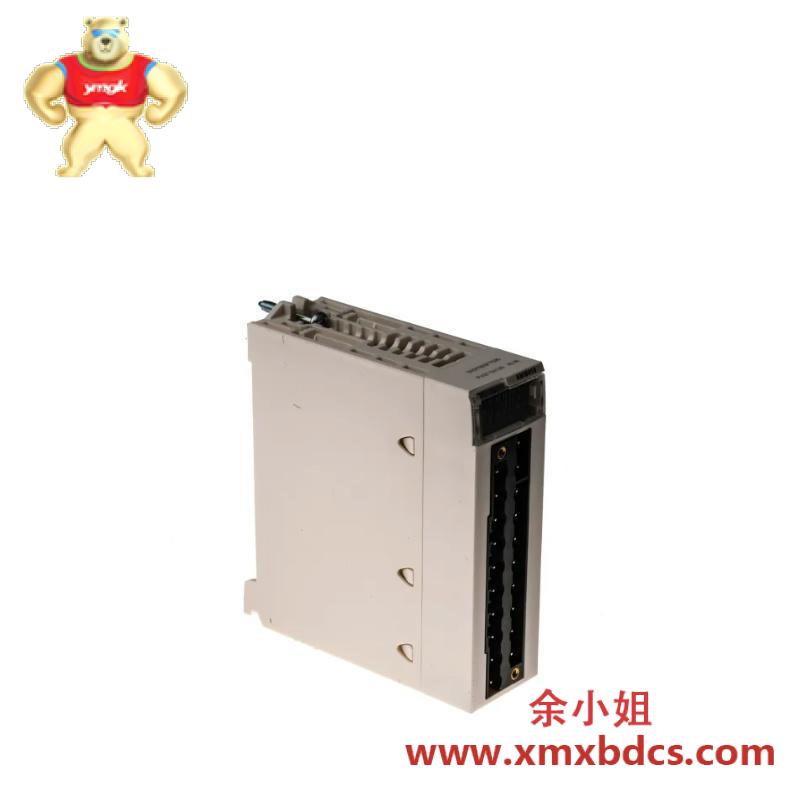 SCHNEIDER BMXAMI0410