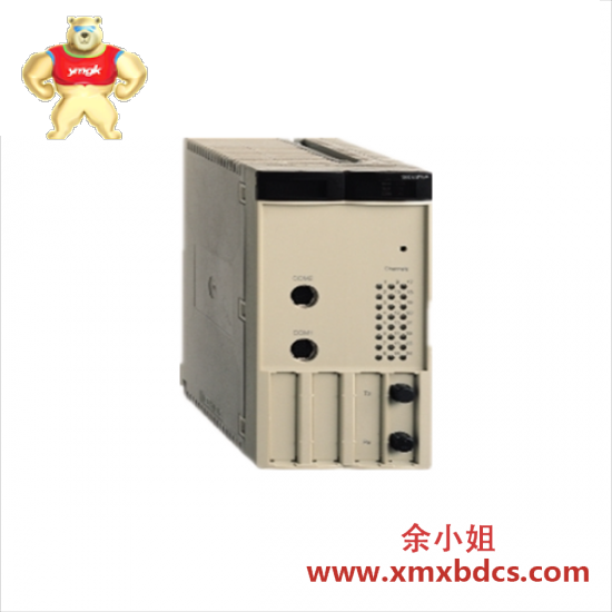 Schneider Schneider 140SDI95300S  Modicon Safety dc discrete input module