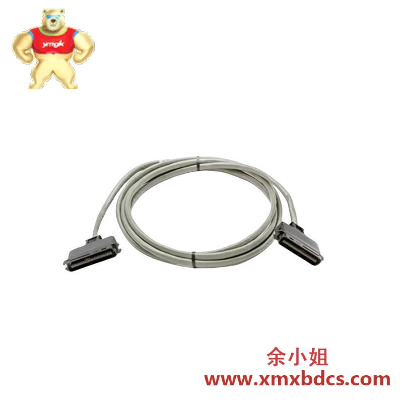 ICS TRIPLEX T9310-02