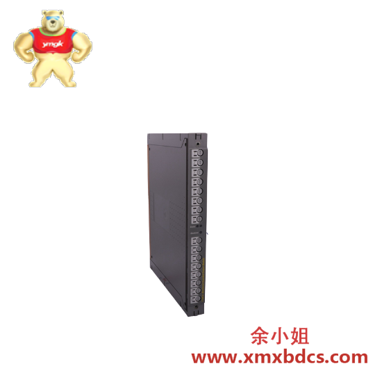 Others T9831  Speed Monitor Module