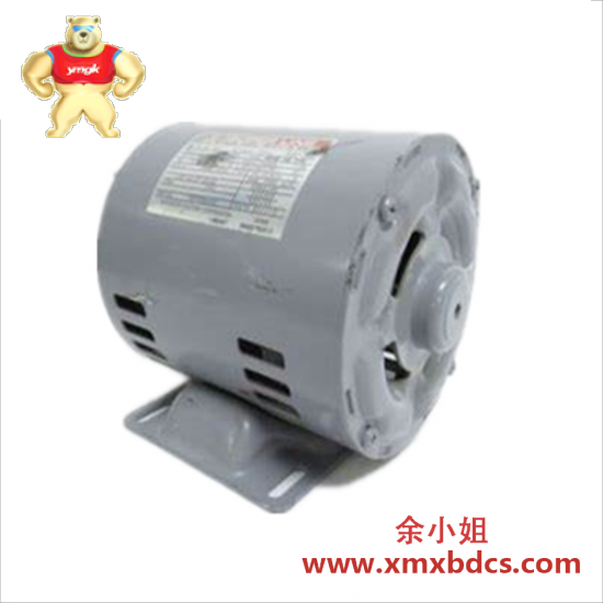 Others TOSHIBA JEC-2137-2000 Vortex pumps